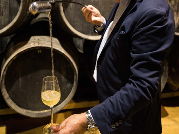 貴重品 SADS MAKING of Sherry The Sherry Wine Production Process | Bodegas Tío Pepe